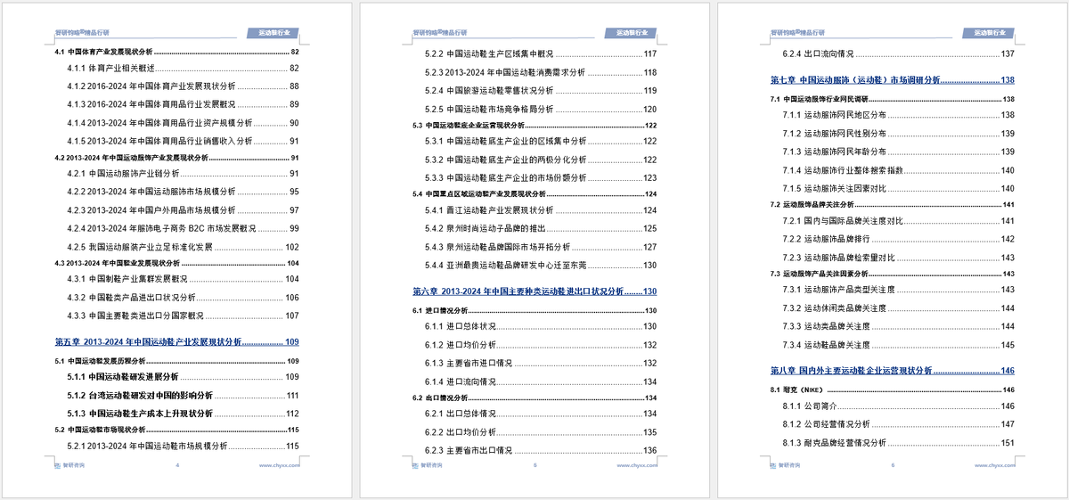 前景研究报告（2025-2031年）球王会中国运动鞋行业发展现状及投资(图4)