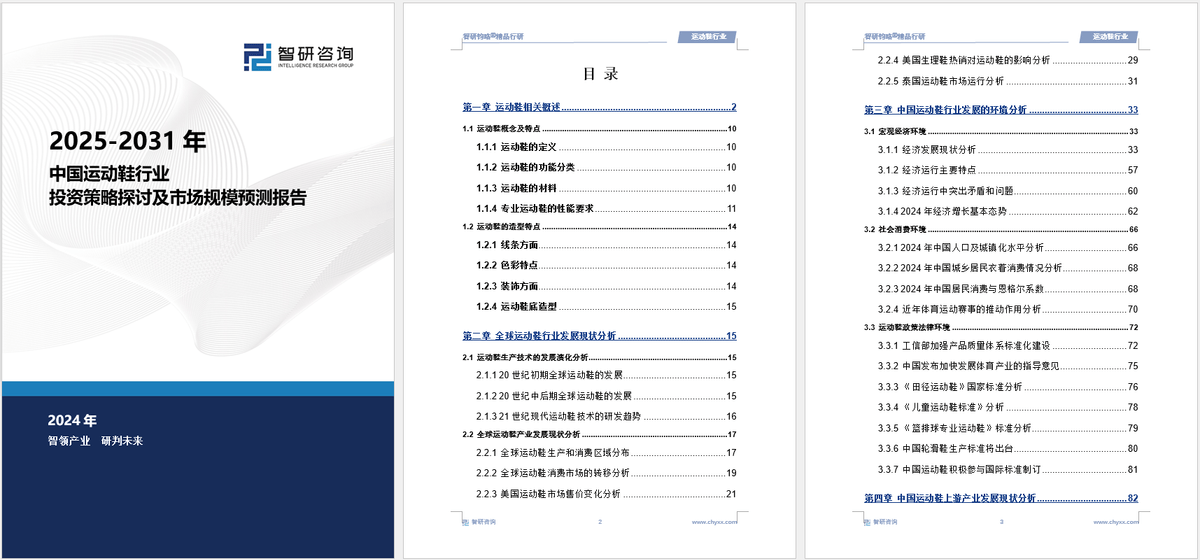 前景研究报告（2025-2031年）球王会中国运动鞋行业发展现状及投资(图5)